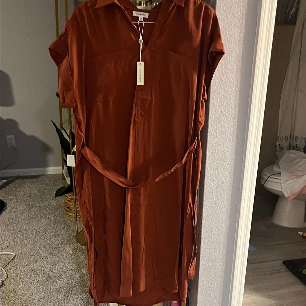 Max Studio Rust Dress - Picture 2 of 2